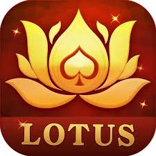 rummy east 41 bonus download